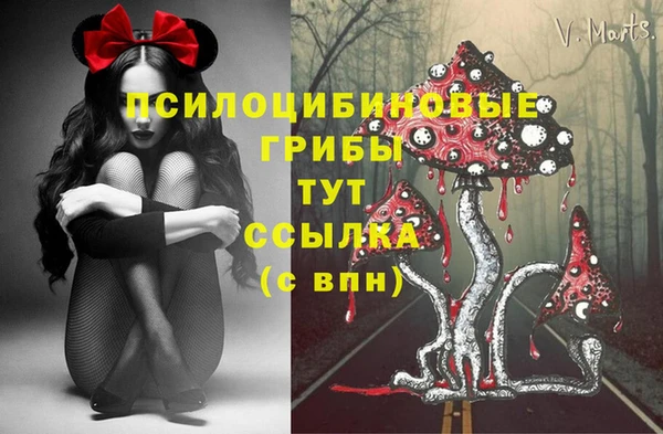 стафф Армянск