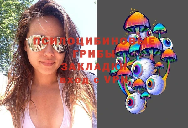 спиды Покачи